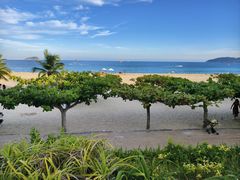 -渔家火锅·海鲜自助餐·演艺(亚龙湾天域酒店)