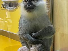 -齐齐哈尔龙沙动植物园