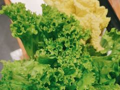 -蜀九香火锅(彩虹店)