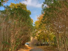-浦星公路-路侧停车位