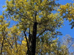 -西湖风景区十里琅珰-五云山