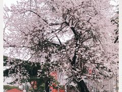 -比亚迪汽车王朝网(易能环耀银海大厦城市展厅)