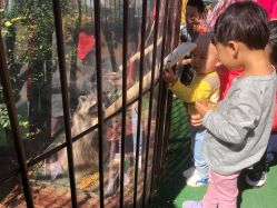 -萌宠亲子动物乐园(槐房万达店)