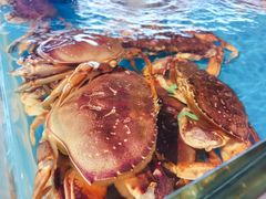 -海蓝海鲜馆(五四北店)