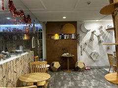 -楼上猫咖(罗湖店)