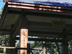 -天鹿湖森林公园