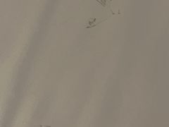 -成都雅诗阁来福士
