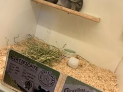 -龙猫仔乐园(惠福东路店)