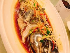 -豫菜·信阳宴(南河沿大街店)