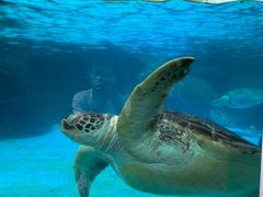 -海合安成都极地海洋公园