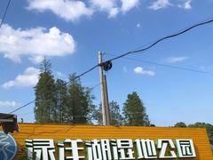 -渌洋湖湿地公园