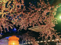 -荷塘秋月·本帮江浙菜(国权路店)