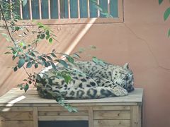 -青藏高原野生动物园