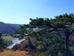 -西拉沐沦大峡谷园区