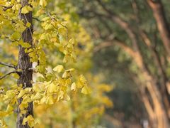 -上海市保健医疗中心