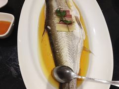-上海1号私藏菜(黄浦店)