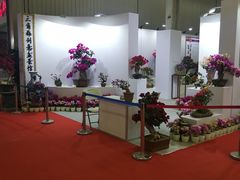 -东南花都花博园