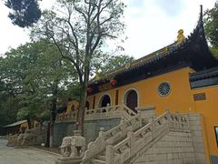 -张鸟园农家乐(张鸟园店)