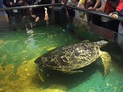 -苏州海洋馆