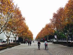 -东华大学(松江校区)
