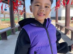 -杭州湾海上花田景区