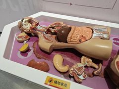 -山东省科技馆(新馆)