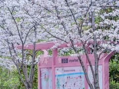-高东镇樱花园