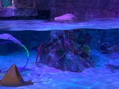 -沈阳海洋探索中心