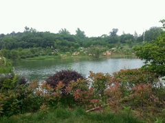 android_upload_pic-大塘金香草谷