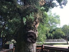 -桂林灵渠景区