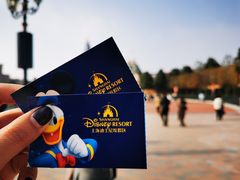 -上海迪士尼度假区