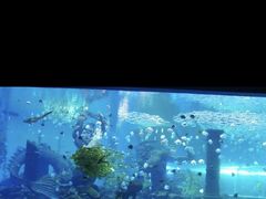 -波塞冬海底世界