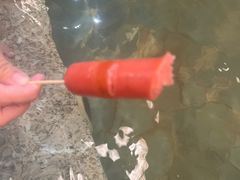 -南宫温泉水世界