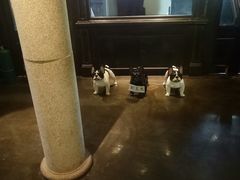 -LYFATTI 莱芙缇(赣水路店)