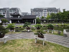 -泰州凤城河风景区-泰山公园