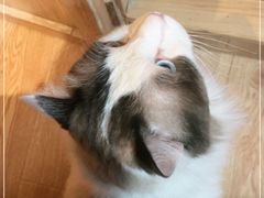 -白兔子密室(长寿路店)