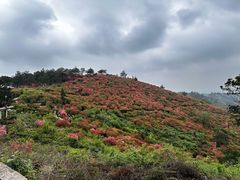 -木兰云雾山