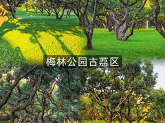 -重庆印象老火锅(梅林店)