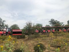 -武汉紫薇都市田园