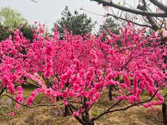 -绿堤公园