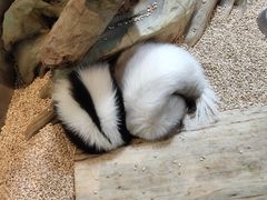 -昆明大悦城未来动物城(螺蛳湾中心店)