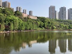 -重庆彩云湖湿地公园