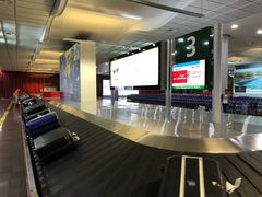 -西沃古尔·拉姆古兰爵士国际机场