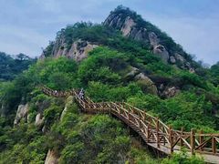 -大岭沟猕猴桃谷风景区