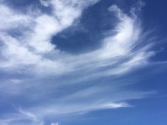 -武清南湖绿博园