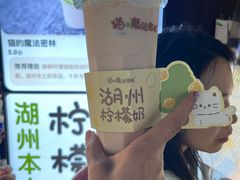 -猫的魔法密林(衣裳街店)