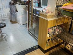 -袖虎宠物·金渐层缅因猫舍(灵芝店)