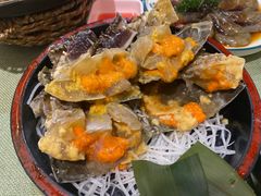 -渔娘渔家丹东海鲜(东直门店)