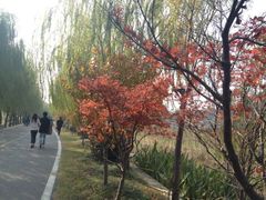 iphone_upload_pic-三山岛