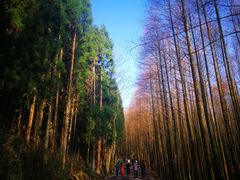 -山王坪喀斯特国家生态公园